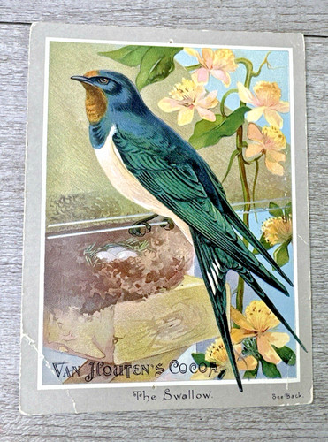 1890s van houten cocoa - van, houten's
